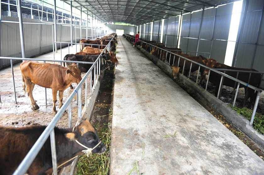 規?；馀ｐB殖場的建設與管理